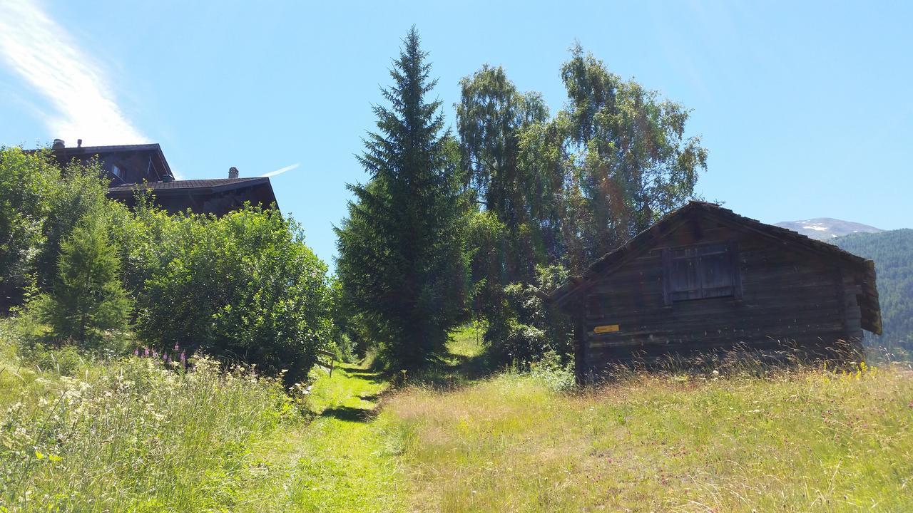 Chalet Bergmann برخن المظهر الخارجي الصورة