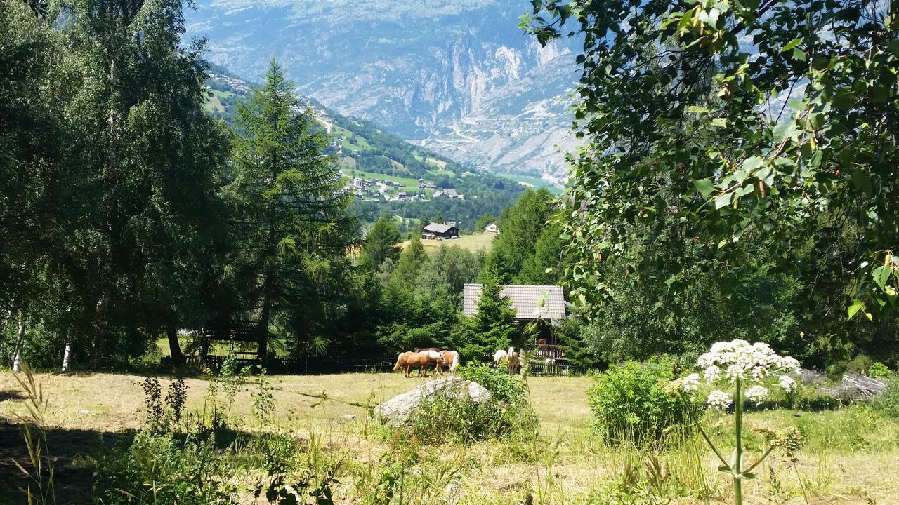 Chalet Bergmann برخن المظهر الخارجي الصورة