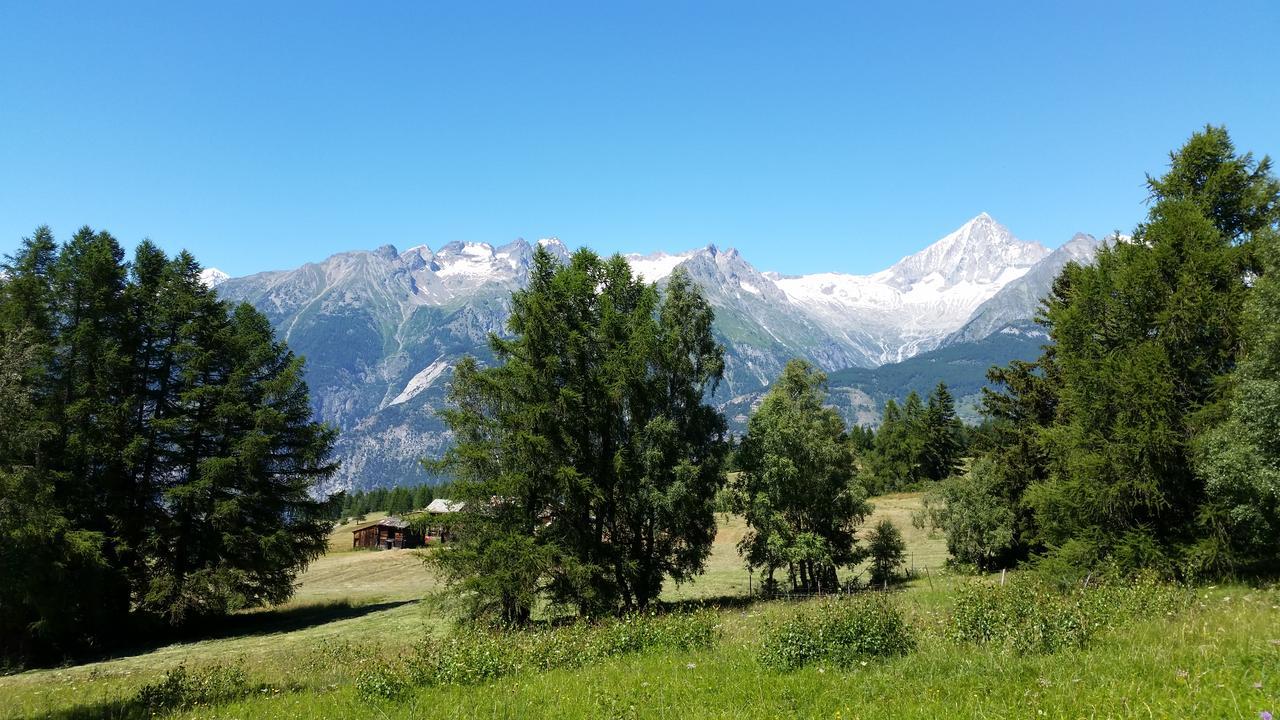 Chalet Bergmann برخن المظهر الخارجي الصورة