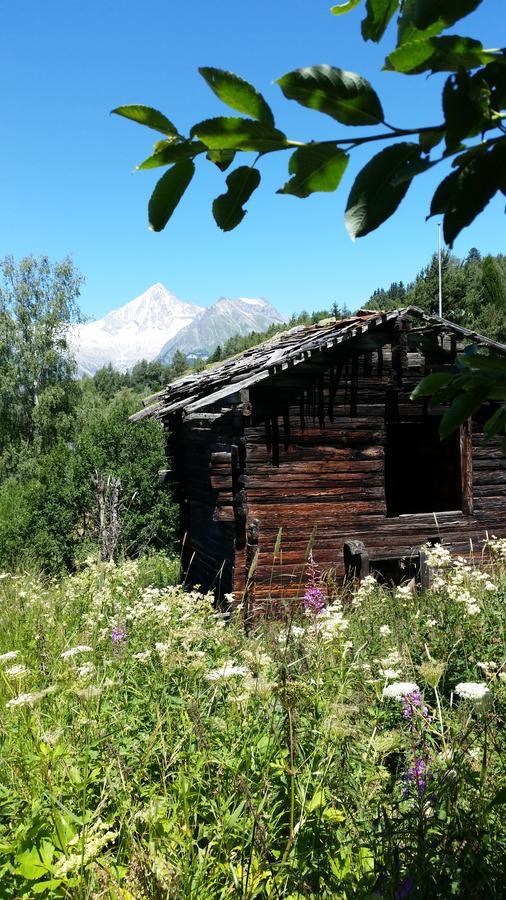 Chalet Bergmann برخن المظهر الخارجي الصورة