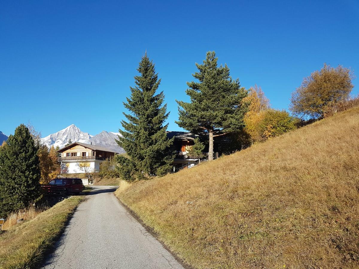 Chalet Bergmann برخن المظهر الخارجي الصورة