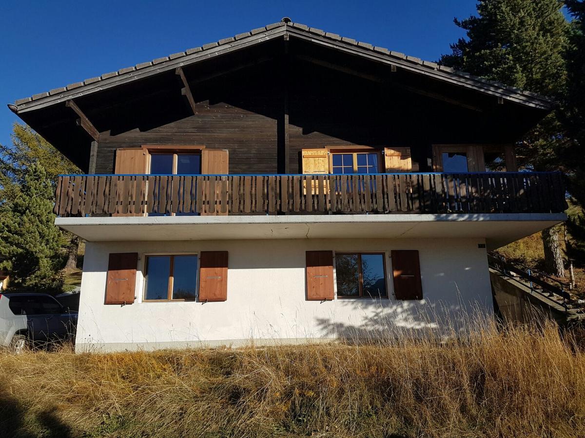 Chalet Bergmann برخن المظهر الخارجي الصورة