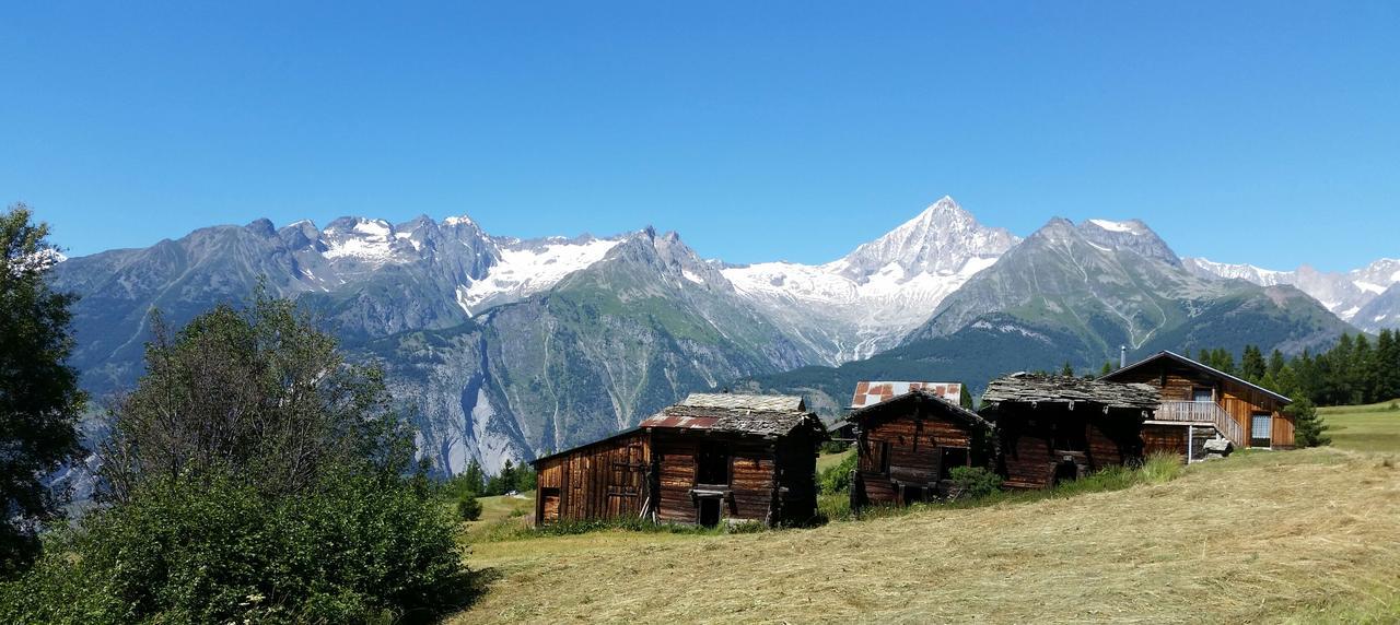 Chalet Bergmann برخن المظهر الخارجي الصورة