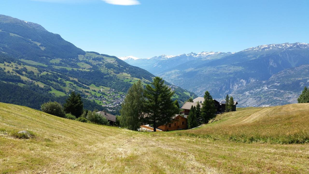 Chalet Bergmann برخن المظهر الخارجي الصورة