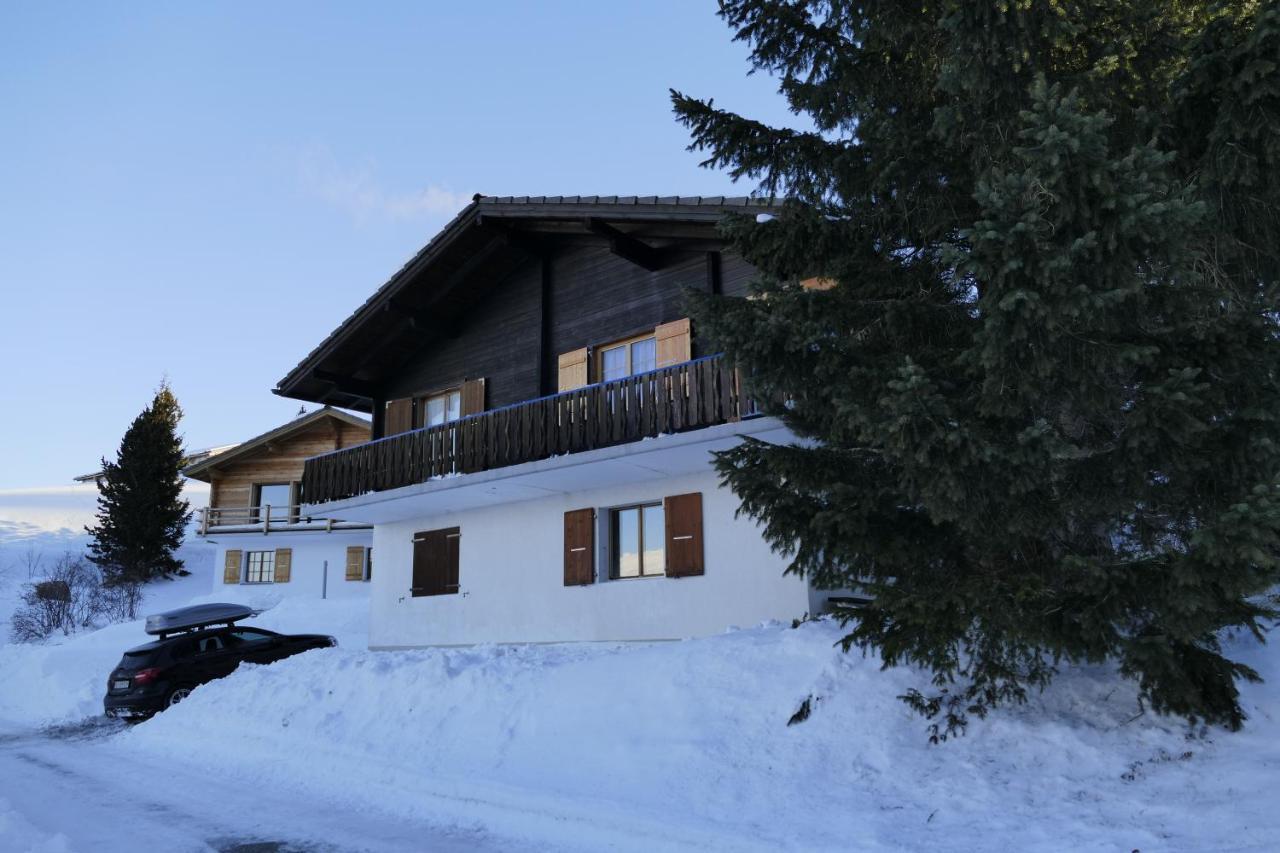 Chalet Bergmann برخن المظهر الخارجي الصورة