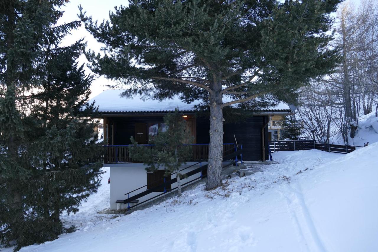 Chalet Bergmann برخن المظهر الخارجي الصورة